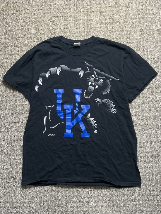 Gildan Other - Y2K 2000s style University of Kentucky Graphic Tee | $20